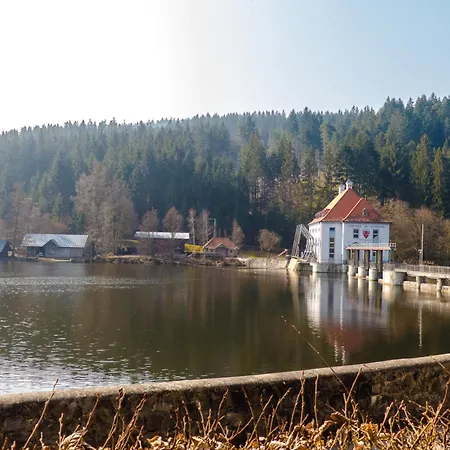 Nr 8a2, Hagbuegerl, Bayr Wald بيت للعطل
