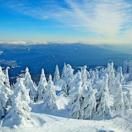 Nr 8a2, Hagbuegerl, Bayr Wald بيت للعطل Waldmünchen