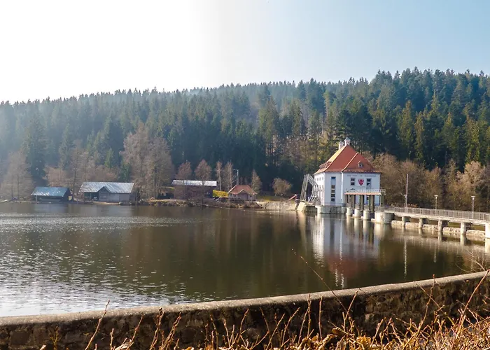 Nr 8a2, Hagbuegerl, Bayr Wald بيت للعطل