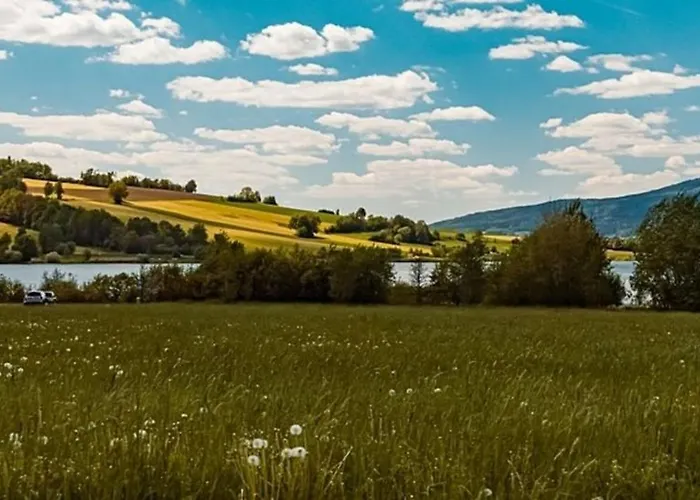 Nr 8a2, Hagbuegerl, Bayr Wald * Waldmünchen