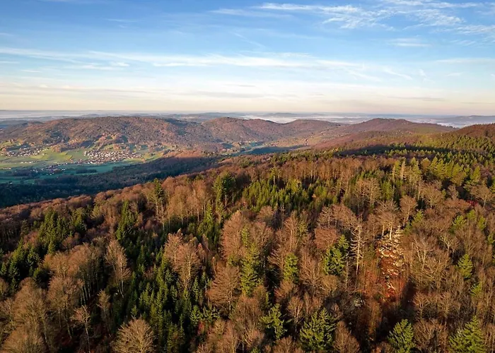 Nr 8a2, Hagbuegerl, Bayr Wald Waldmünchen