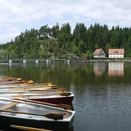 Nr 8a2, Hagbuegerl, Bayr Wald Hébergement de vacances *