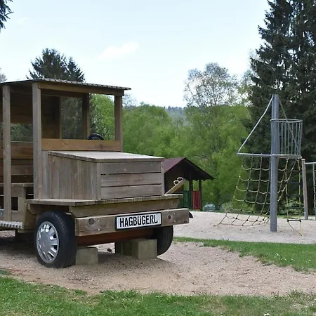 Nr 8a2, Hagbuegerl, Bayr Wald * Waldmünchen