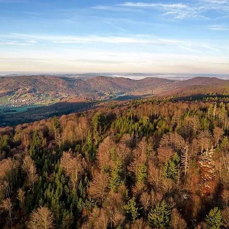 Nr 8a2, Hagbuegerl, Bayr Wald Waldmünchen